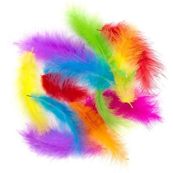 Piórka indycze - DpCraft - kolorowe, brights, 10 g