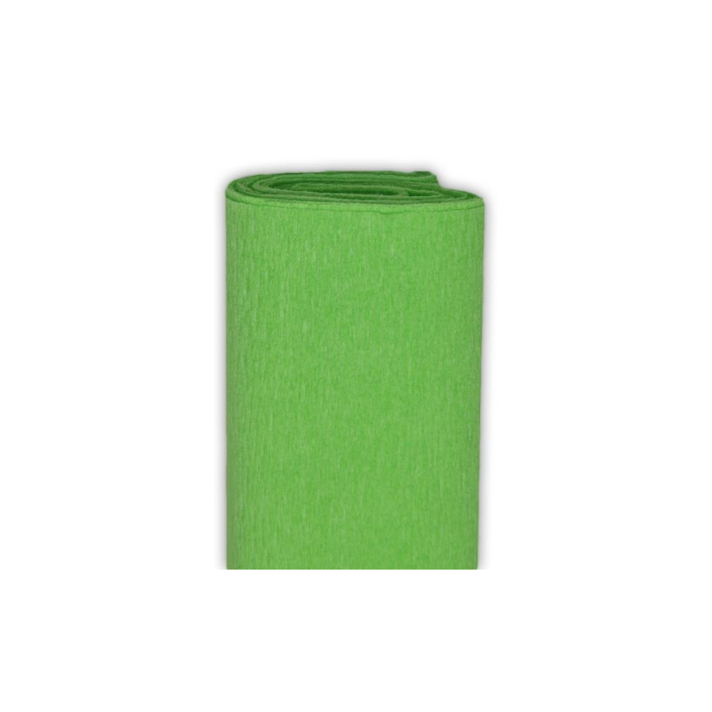 Crepe Paper 50 x 200 cm Light Green