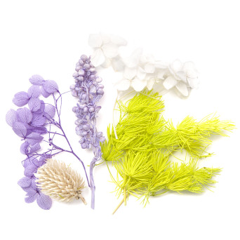 Dried decorative flowers - DpCraft - 5-11 cm, 6 pcs