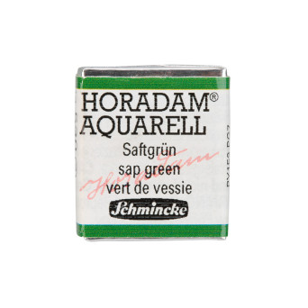 Horadam Aquarell watercolor paint - Schmincke - 530, Sap Green
