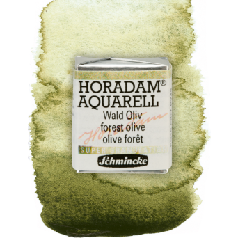 Horadam Aquarell watercolor paint - Schmincke - 941, Forest Olive