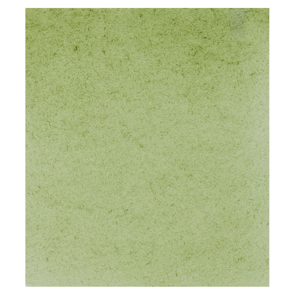 Horadam Aquarell watercolor paint - Schmincke - 516, Green Earth, 15 ml