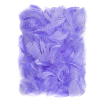 Decorative feathers - DpCraft - lilac, 10 g