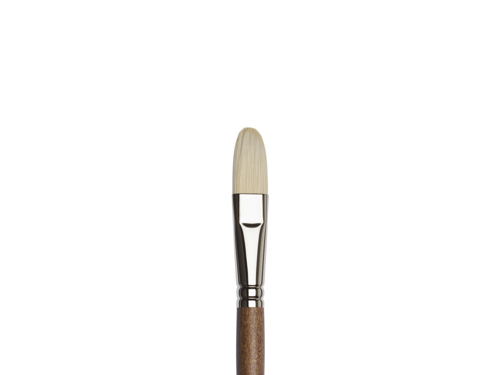 Filbert Artists' Oil synthetic brush - Winsor & Newton - no. 6