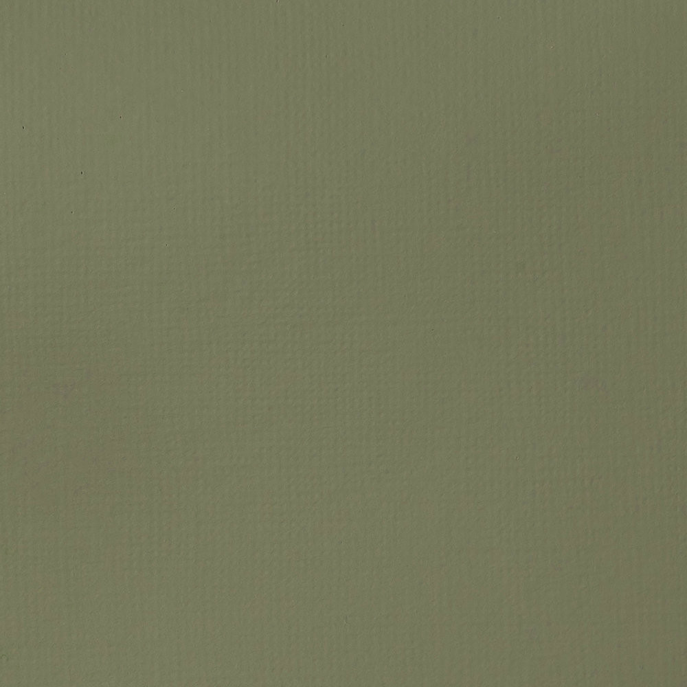 Farba akrylowa Basics Acrylic - Liquitex - 205, Green Gray, 118 ml