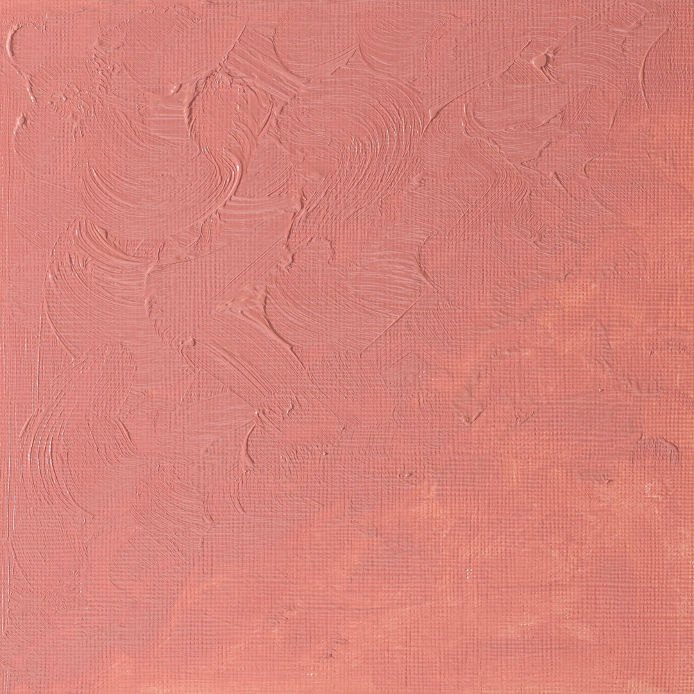 Oil paint Winton Oil Colour - Winsor & Newton - Pale Rose, 37 ml