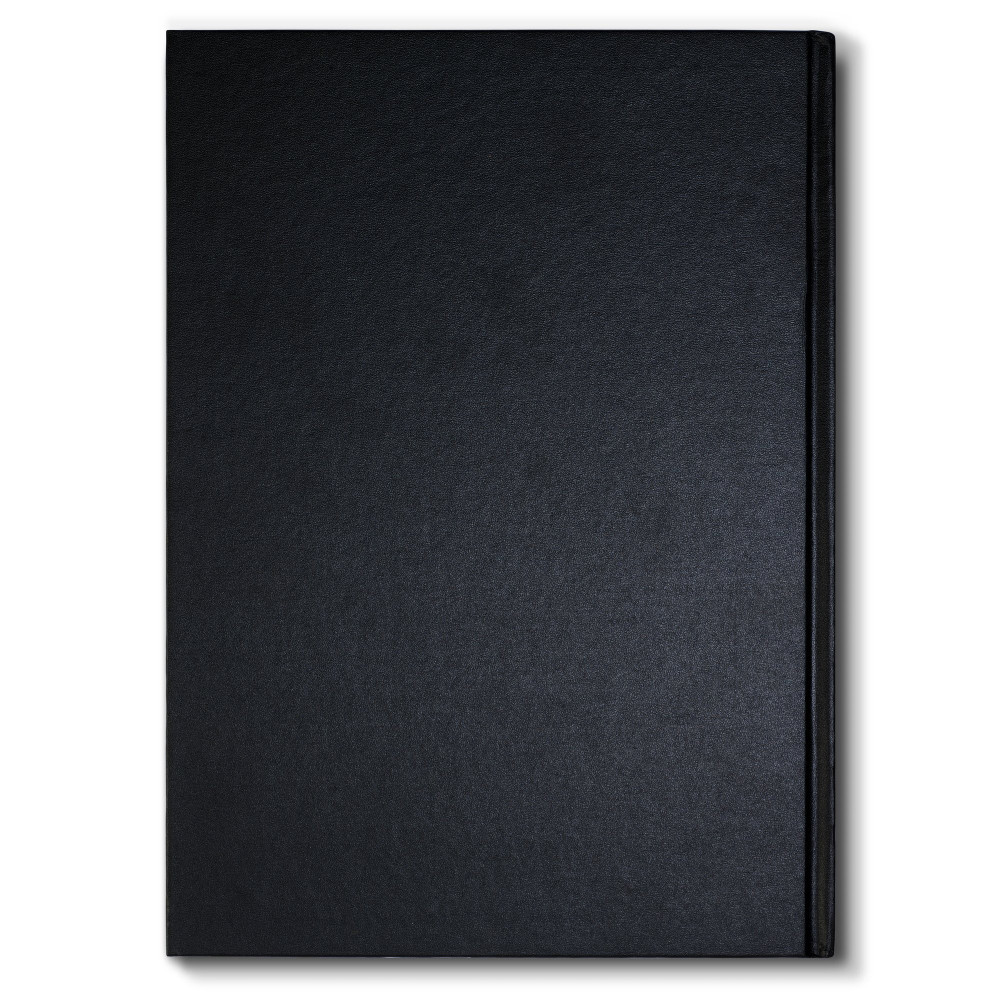Szkicownik Sketch Book - Winsor & Newton - A4, 110g, 80 ark.