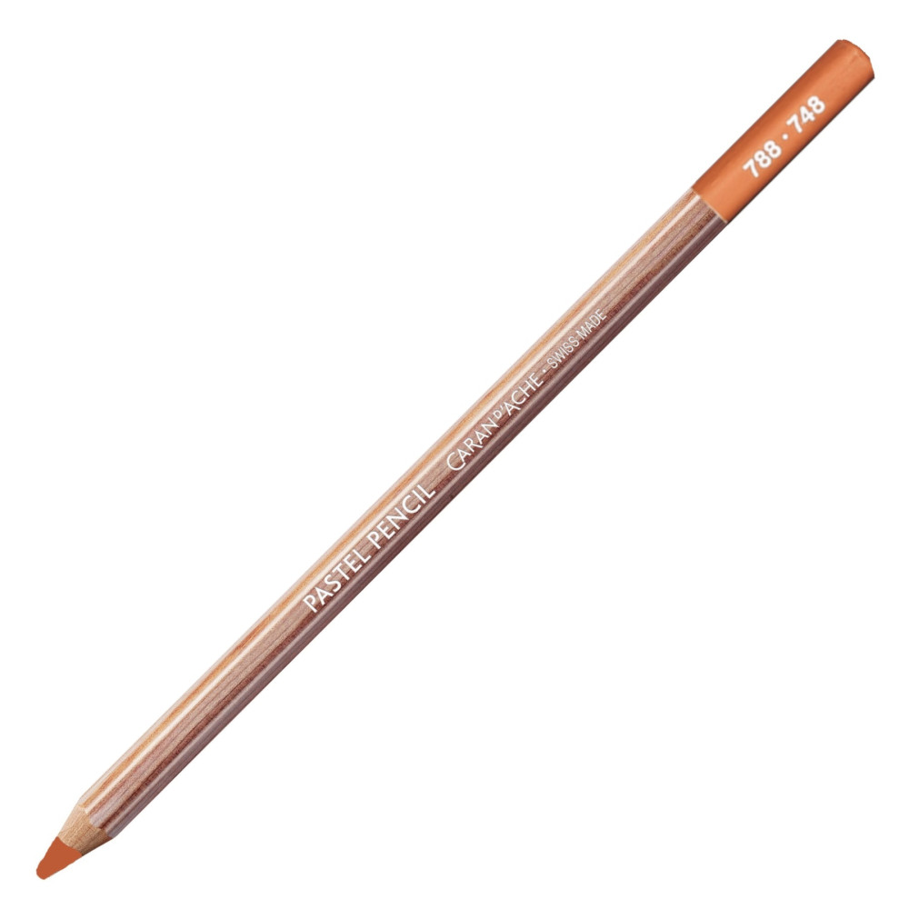 Dry Pastel Pencil - Caran d'Ache - 748, Dark Flesh