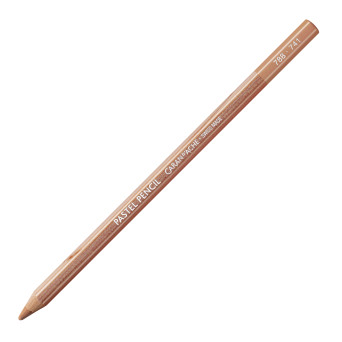 Dry Pastel Pencil - Caran d'Ache - 741, Dark Flesh 5%