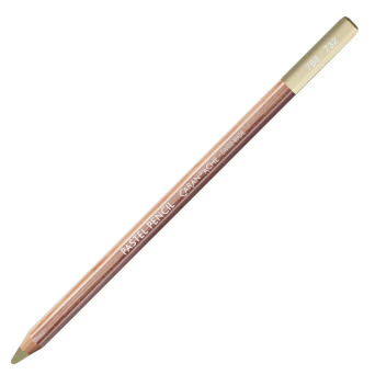 Dry Pastel Pencil - Caran d'Ache - 732, Brown Olive 10%