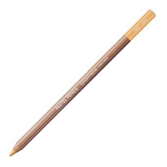 Dry Pastel Pencil - Caran d'Ache - 542, Light Flesh 10%