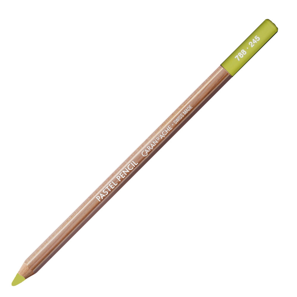 Pastela sucha w kredce Pastel Pencil - Caran d'Ache - 245, Light Olive 40%