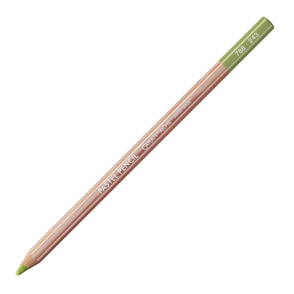 Pastela sucha w kredce Pastel Pencil - Caran d'Ache - 243, Light Olive 20%