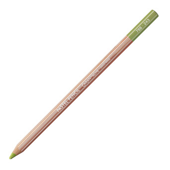 Dry Pastel Pencil - Caran d'Ache - 243, Light Olive 20%