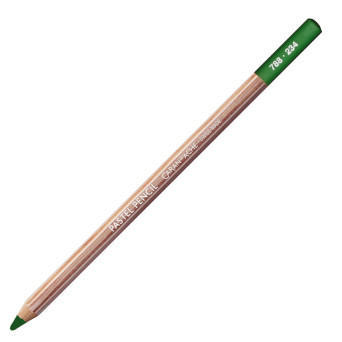 Pastela sucha w kredce Pastel Pencil - Caran d'Ache - 234, Middle Moss Green 30%