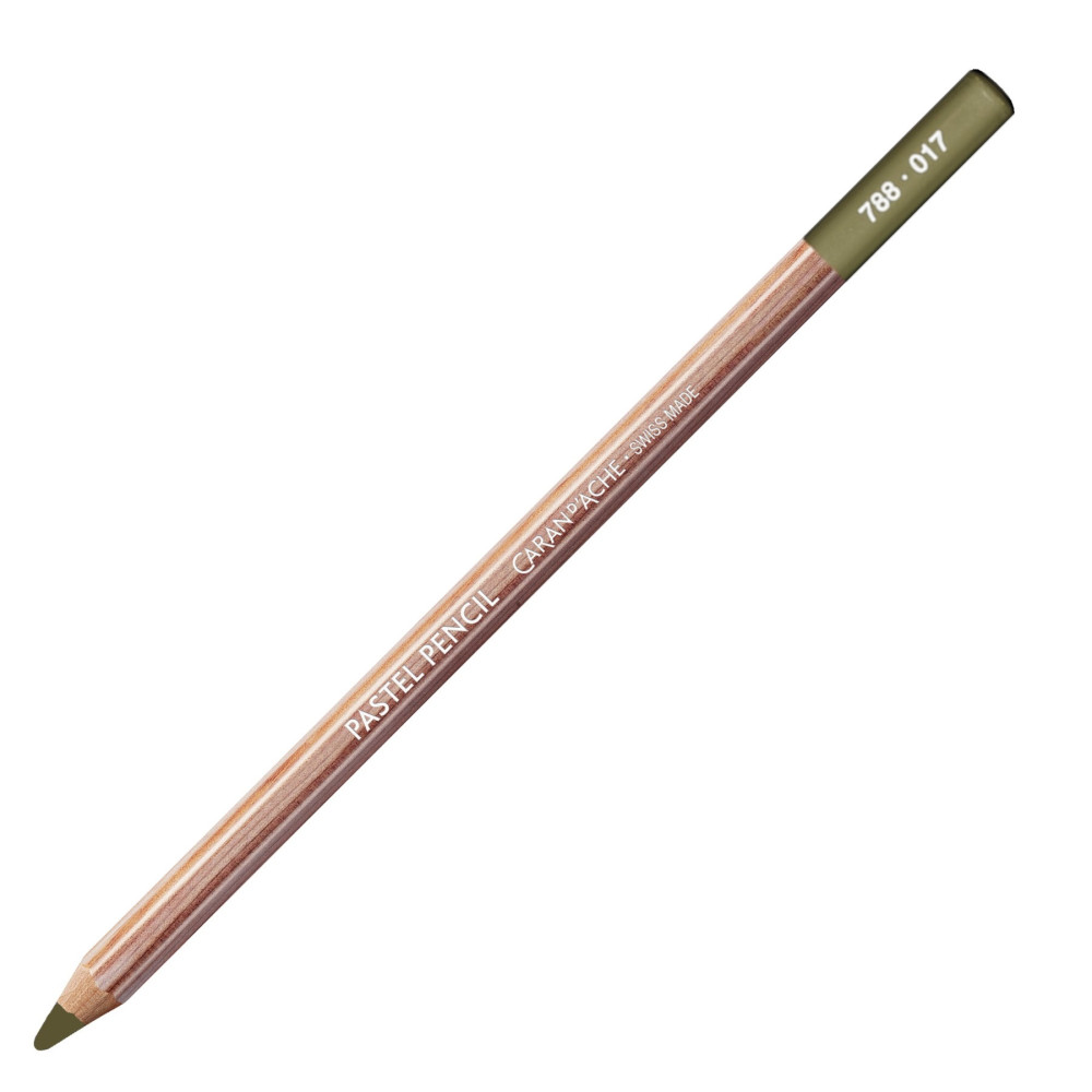 Dry Pastel Pencil - Caran d'Ache - 017, Light Reseda