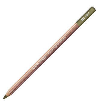 Dry Pastel Pencil - Caran d'Ache - 017, Light Reseda