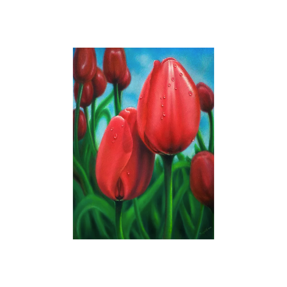 Polycolor colored pencil - Koh-I-Noor - 15, Ice Blue