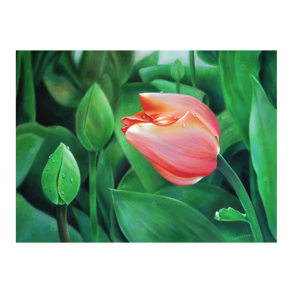 Kredka ołówkowa Polycolor - Koh-I-Noor - 555, Papaya Orange