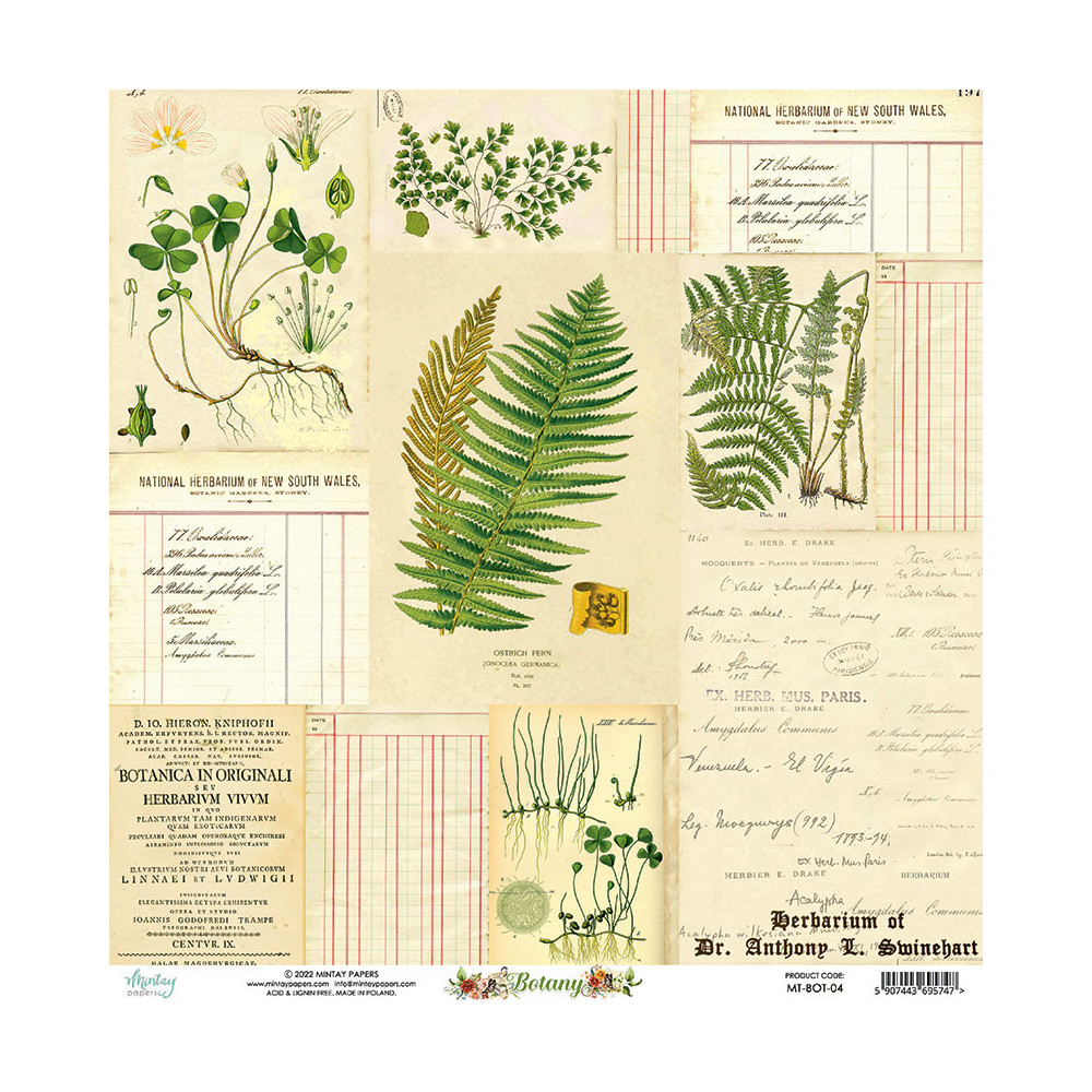 Scrapbooking paper 30,5 x 30,5 cm - Mintay - Botany 04