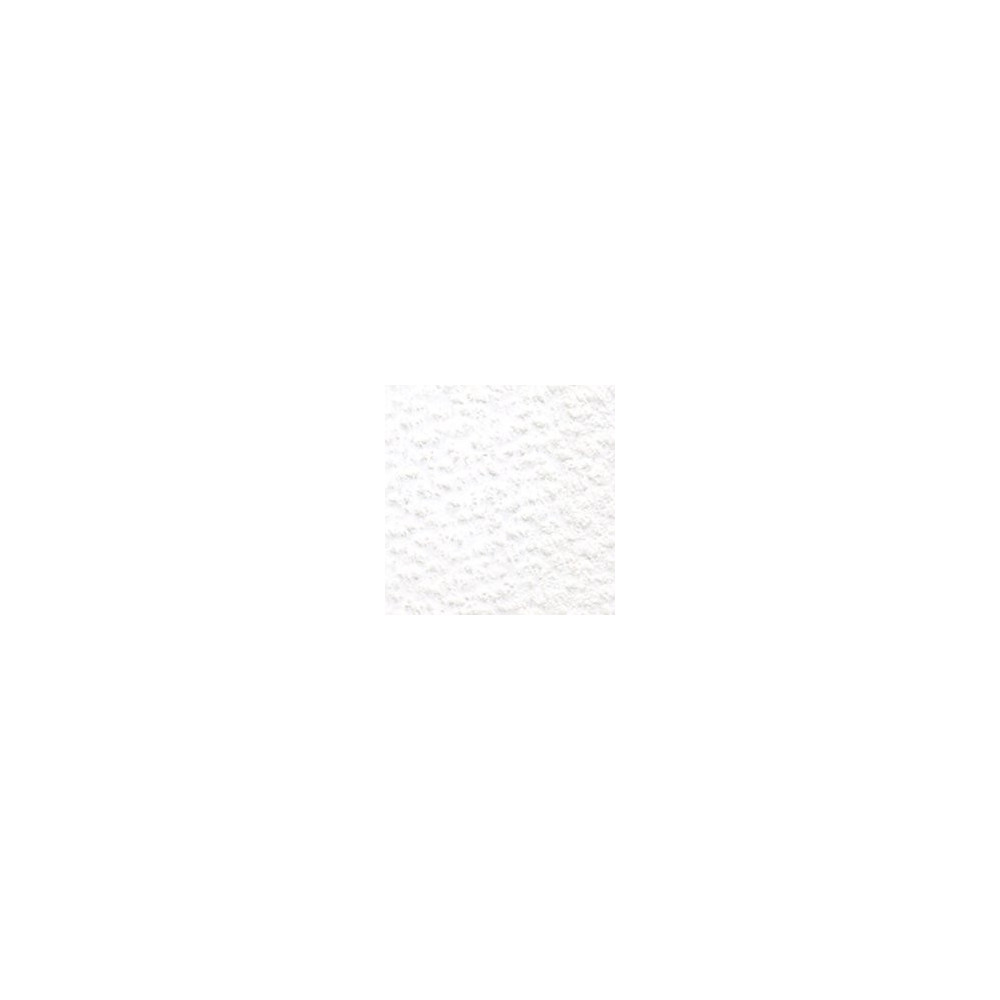 Artists' Colored Pencil - Holbein - 501, Soft White