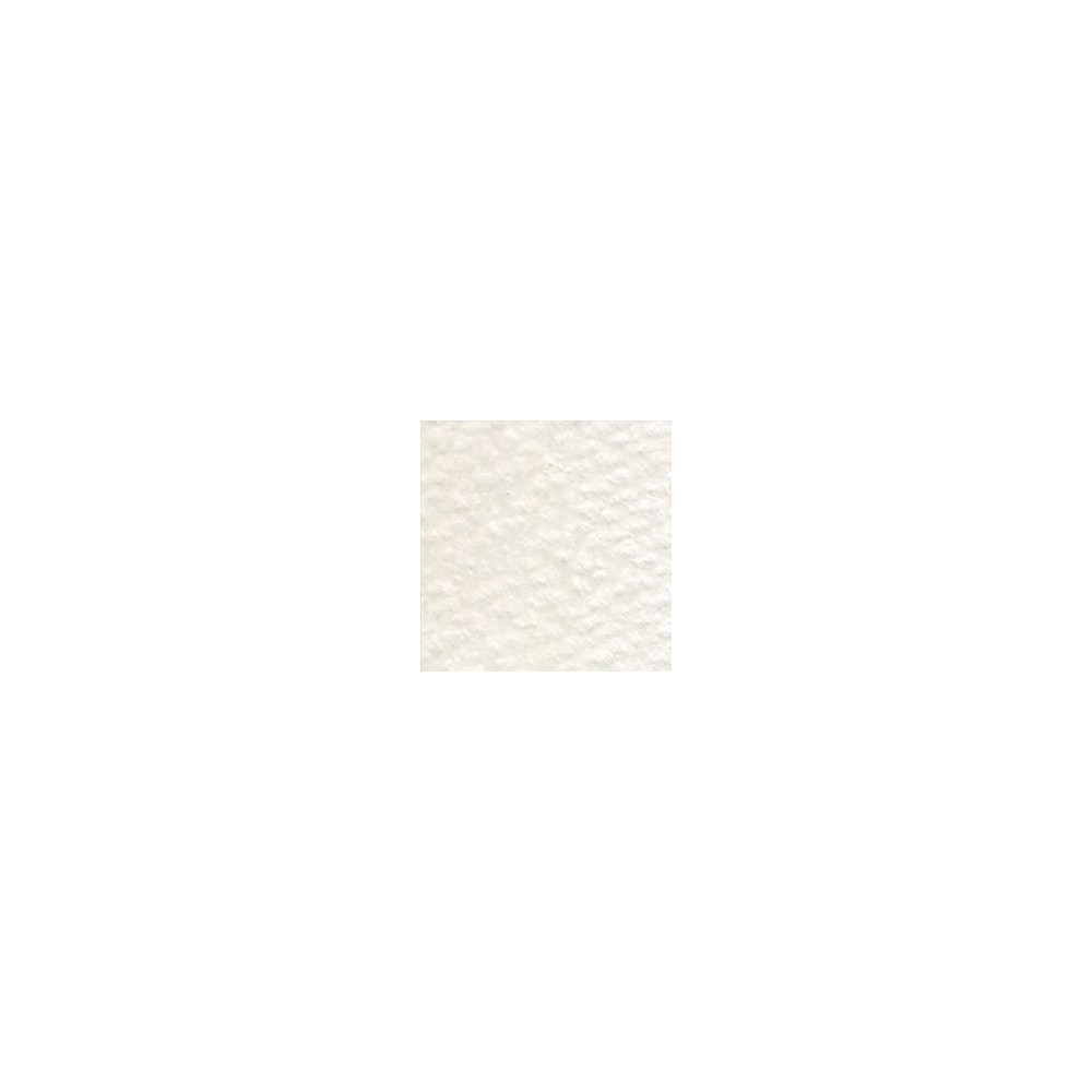 Artists' Colored Pencil - Holbein - 521, Warm Grey no. 1