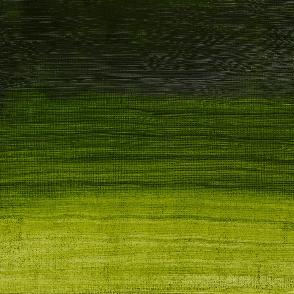 Artisan Water oil paint - Winsor & Newton - Permanent Sap Green, 37 ml