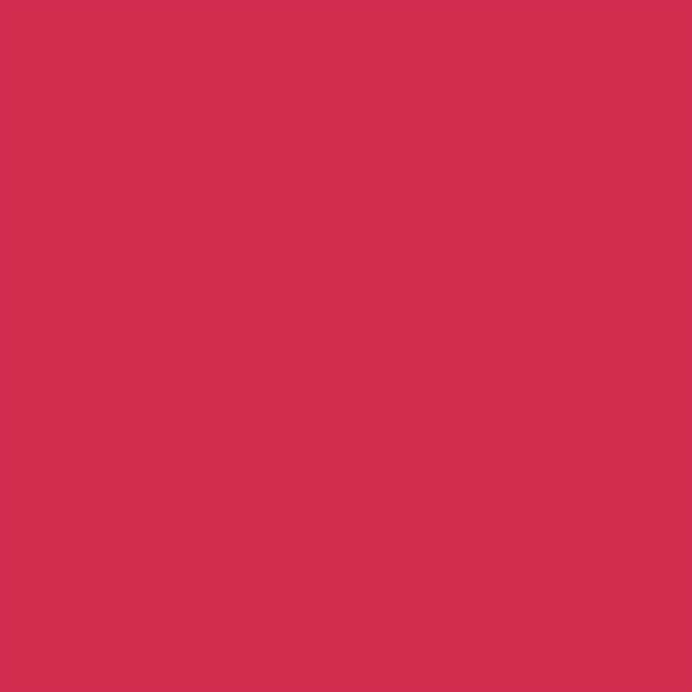 Promarker Brush - Winsor & Newton - Ruby