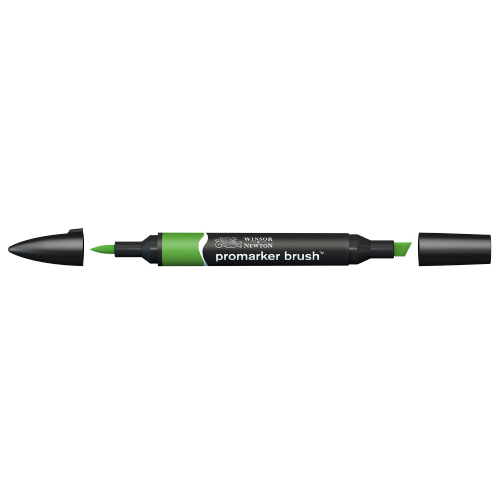 Promarker Brush - Winsor & Newton - Forest Green