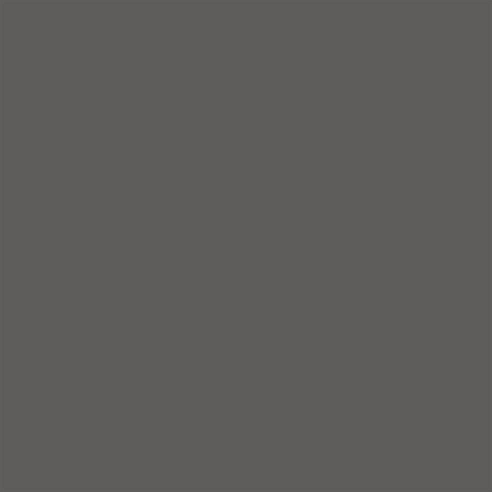 Promarker Brush - Winsor & Newton - Cool Grey 5