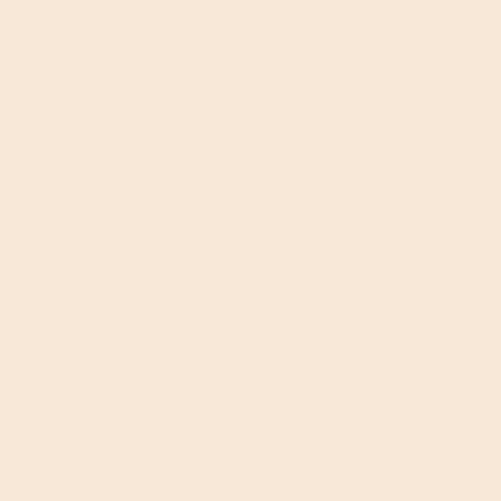Promarker Brush - Winsor & Newton - Almond