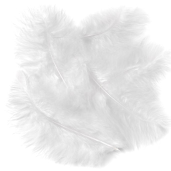 Piórka indycze - DpCraft - białe, 15 cm, 5 szt.