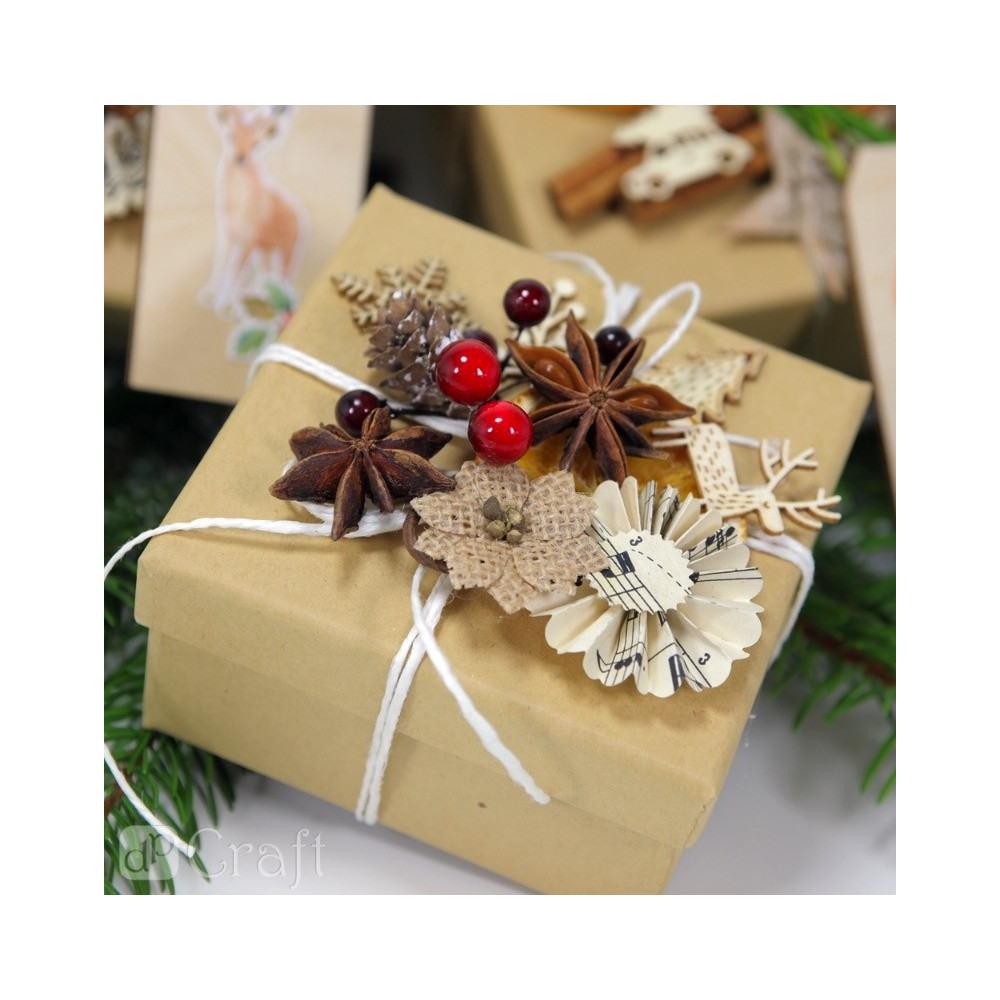Dried star anise, decorative - 20 pcs.