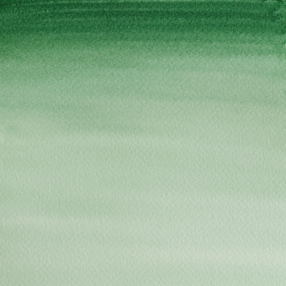 Farba akwarelowa Cotman - Winsor & Newton - Hooker's Green Dark, 8 ml