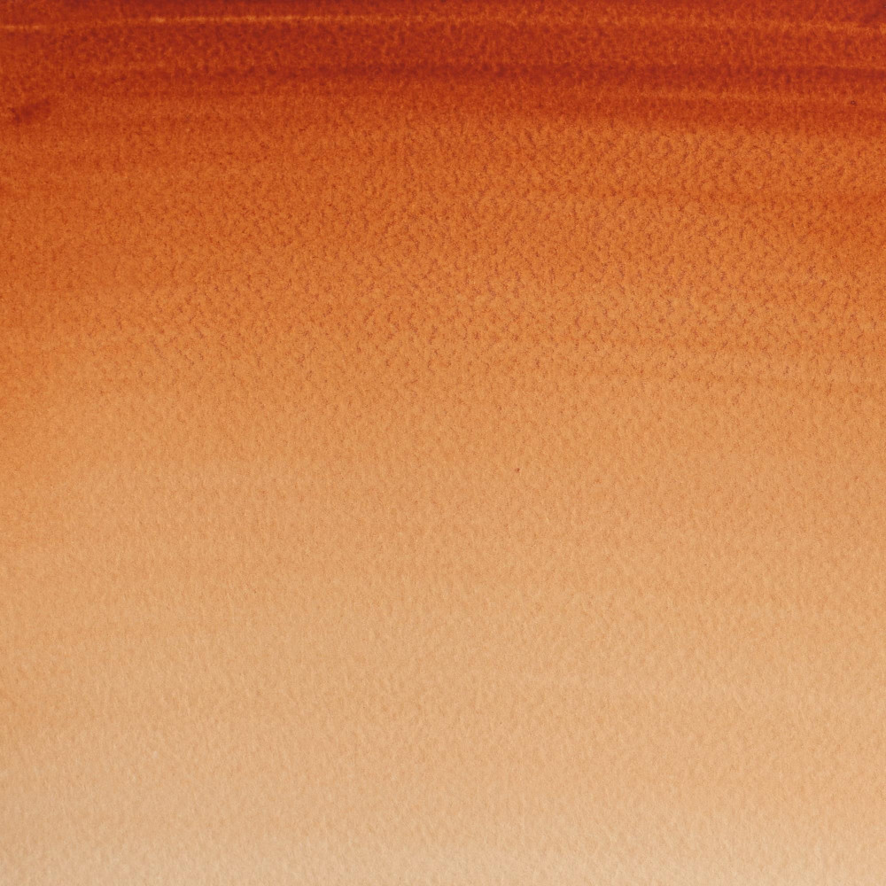 Cotman Watercolor Paint - Winsor & Newton - Burnt Sienna, 8 ml
