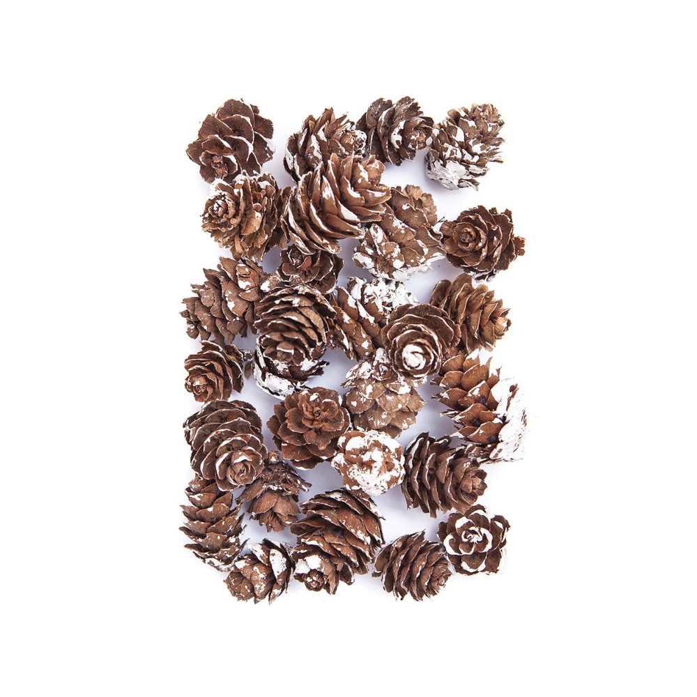 Mini bleached cones - DpCraft - 25 g