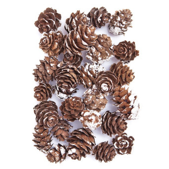 Mini bleached cones - DpCraft - 25 g