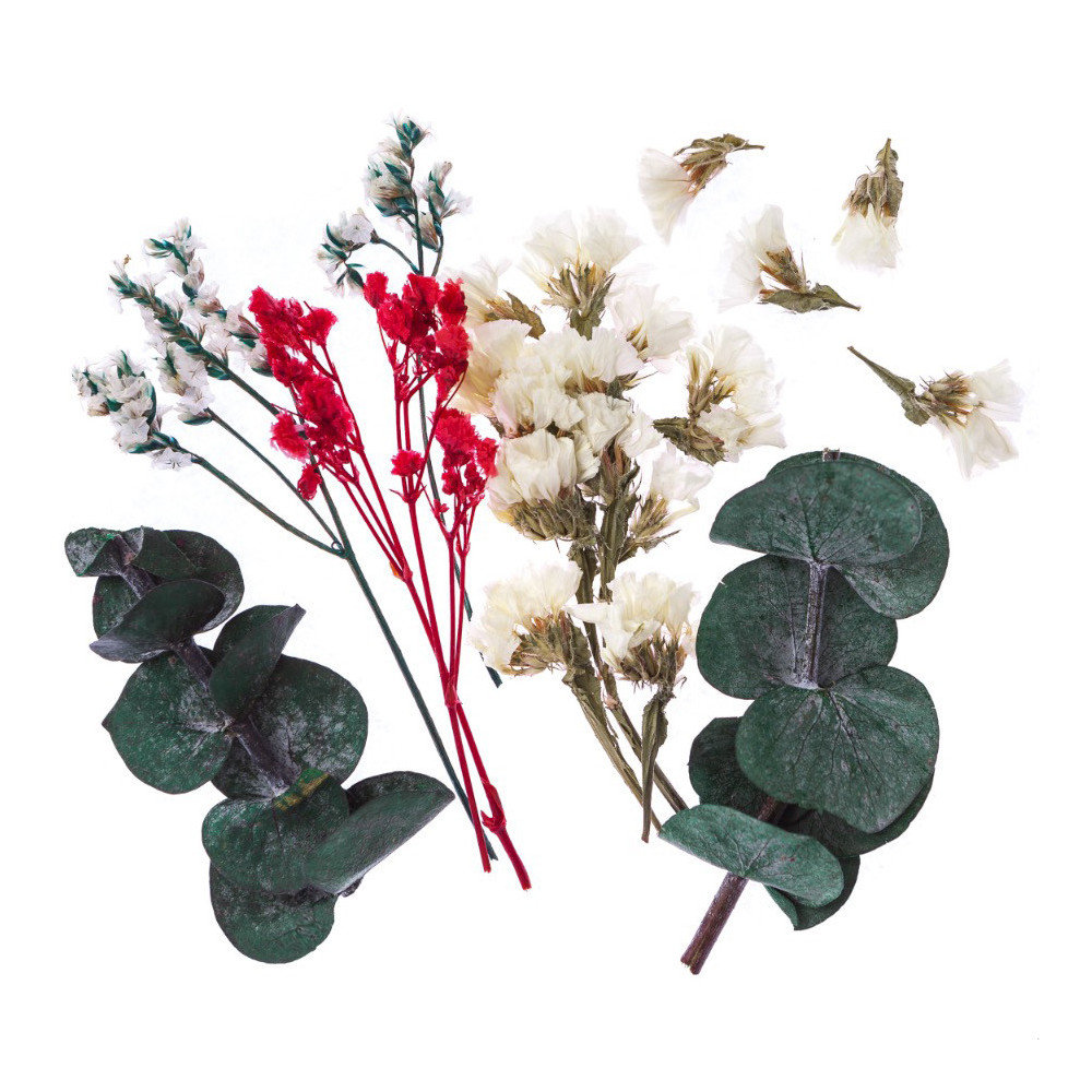 Dried decorative flowers - DpCraft - ecru/pink, 5-11 cm