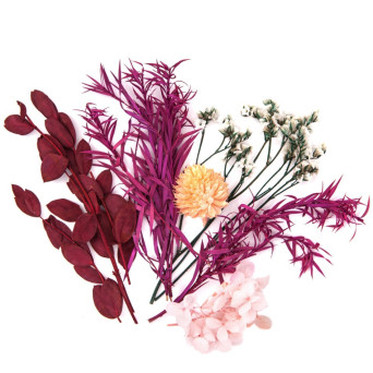 Dried decorative flowers - DpCraft - bordeaux/ pink, 5-11 cm