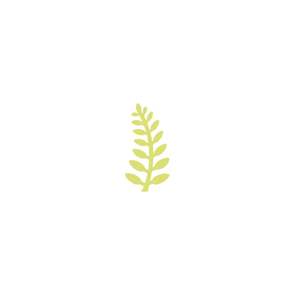 Craft Punch Fern 329 - DpCraft - 5 cm