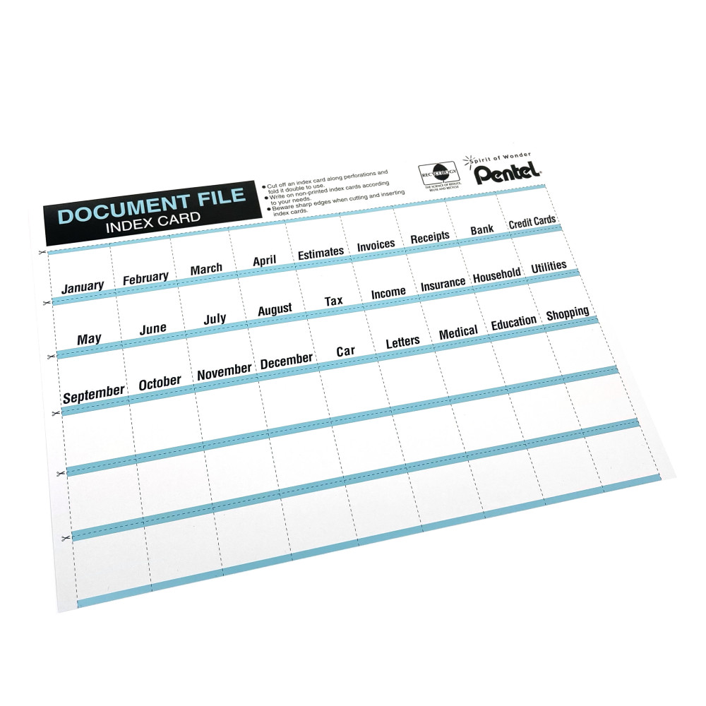 Document file organiser - Pentel - black, A4