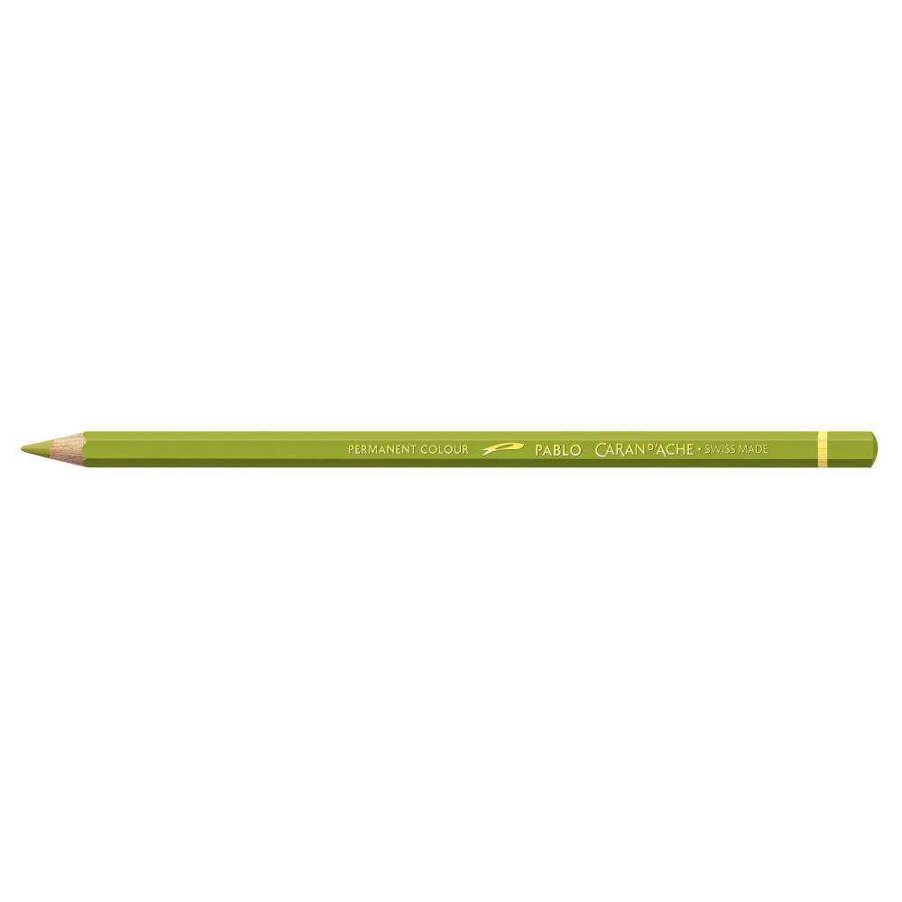 Pablo colored pencil - Caran d'Ache - 016, Khaki Green