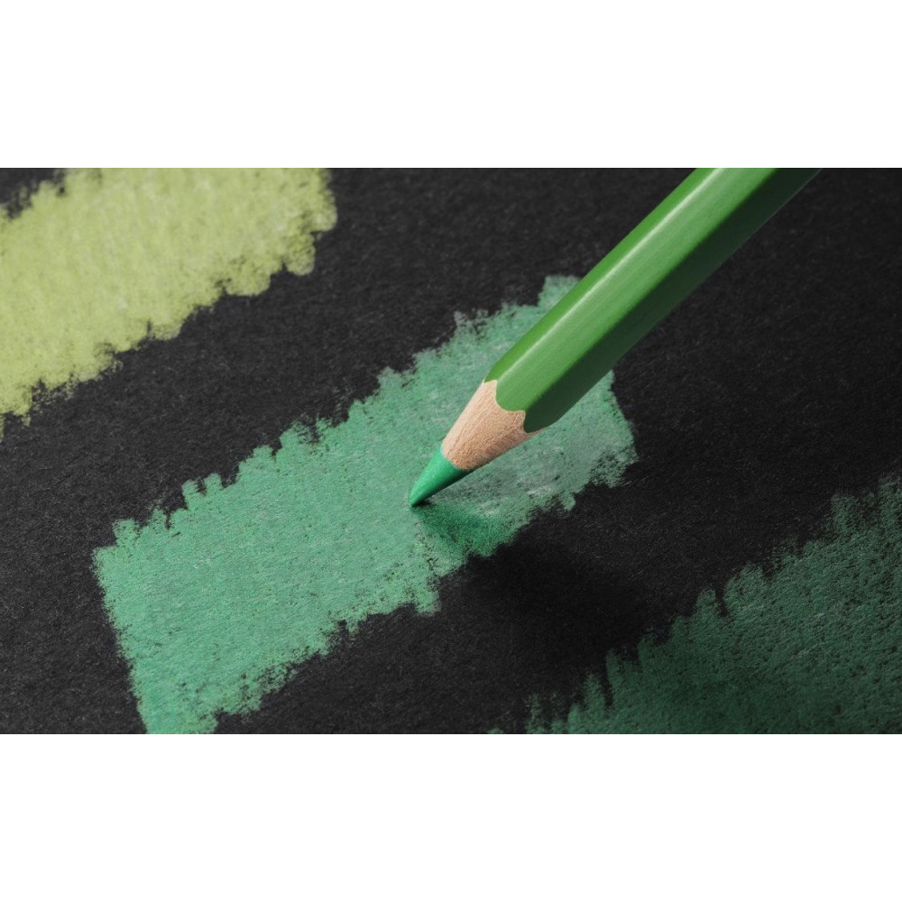 Pablo colored pencil - Caran d'Ache - 498, Silver