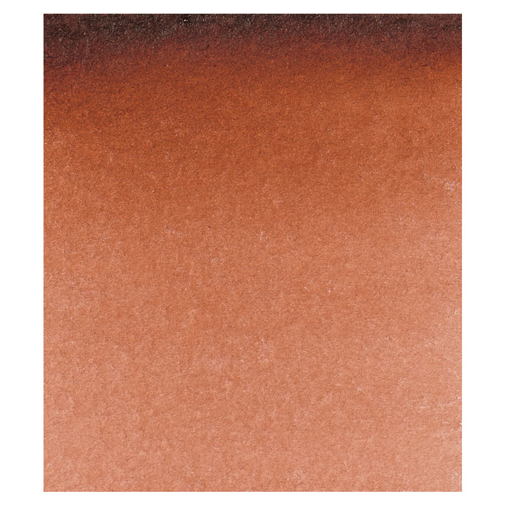 Horadam Aquarell watercolor paint - Schmincke - 648, Transparent Brown, 5 ml