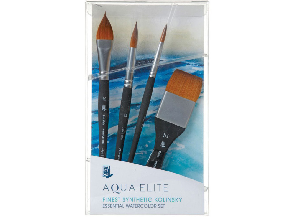 Set of synthetic brushes Aqua Elite Box - Princeton - 4 pcs.