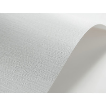 Papier Elfenbens 185g - Tkanina lniana (203) biały A4
