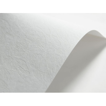 Papier Elfenbens 246g - Skóra (134) biały A4