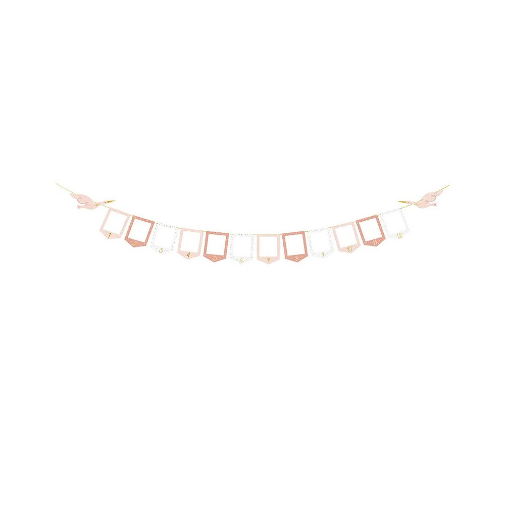 Girlanda na zdjęcia, Bocian - różowa, 15 cm x 3 m