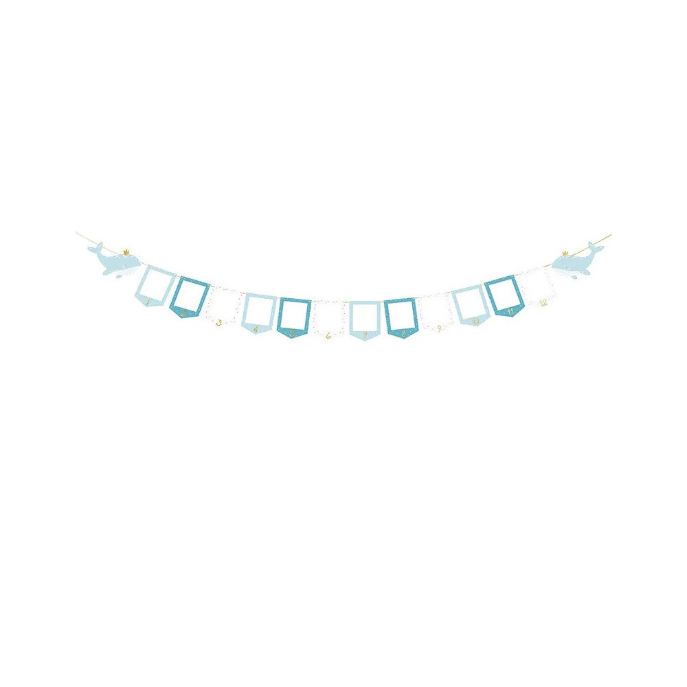 Photo frame Garland, Whale - pink, 15 cm x 3 m