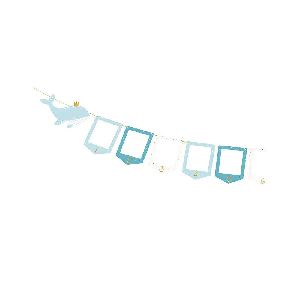 Photo frame Garland, Whale - pink, 15 cm x 3 m